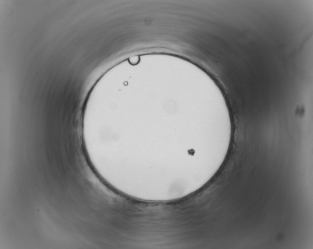 X0000111251516200907231540