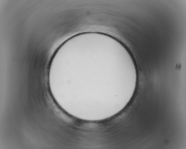 X0000111251517200907231540