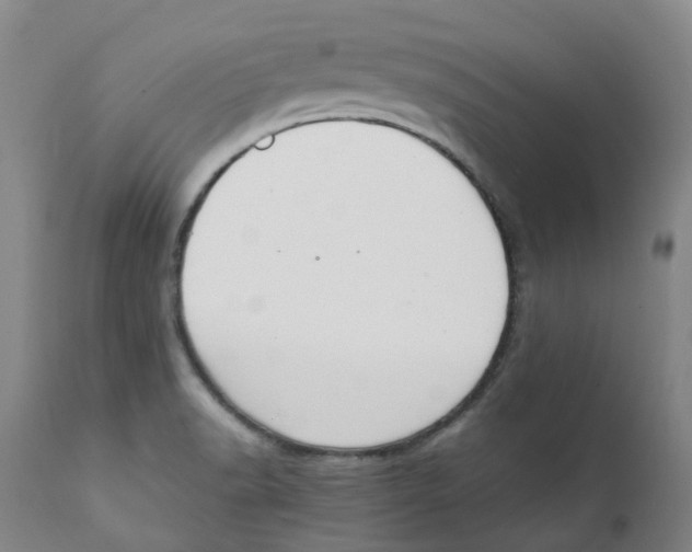 X0000111251518200907231540