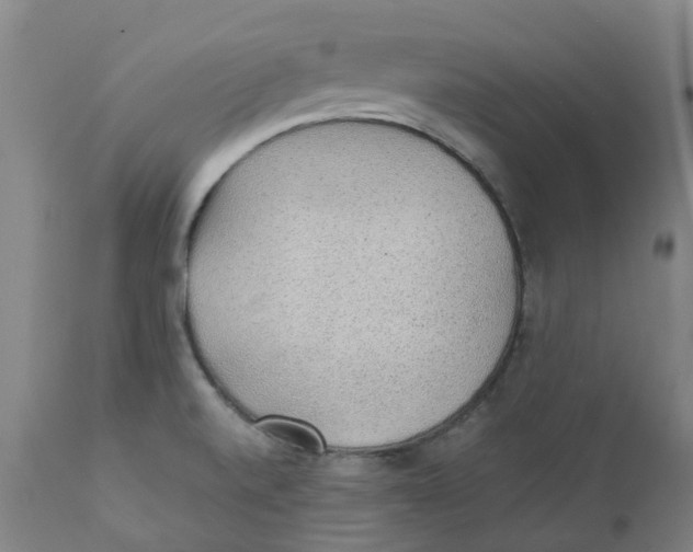 X0000111251520200907231540