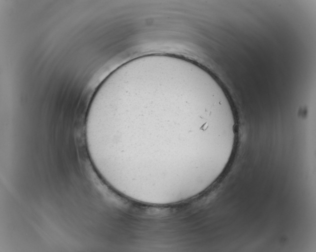 X0000111251521200907231540