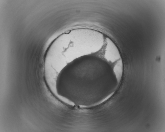 X0000111251522200907231540