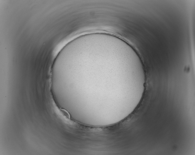 X0000111251524200907231540