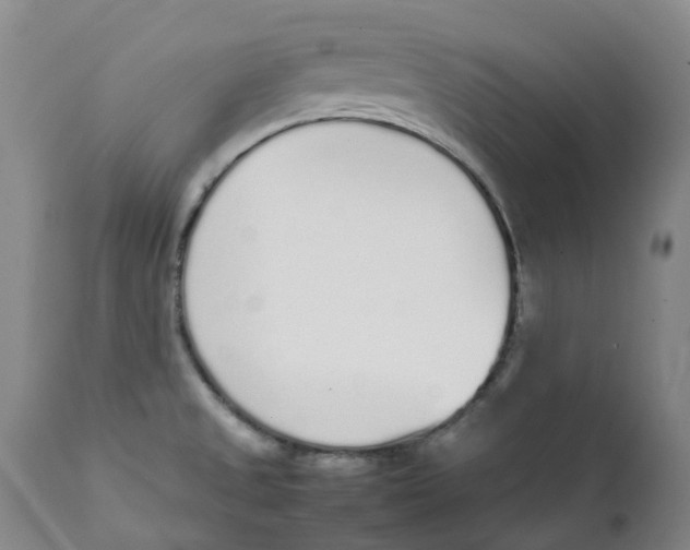 X0000111251525200907231540