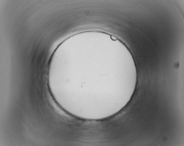 X0000111251526200907231540