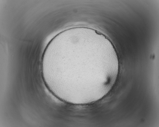 X0000111251527200907231540