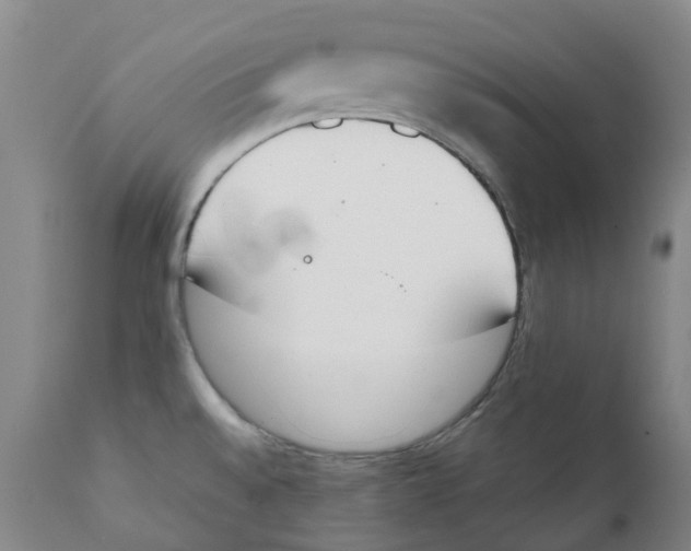 X0000111251528200907231540