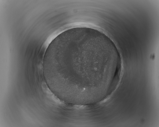 X0000111251529200907231541