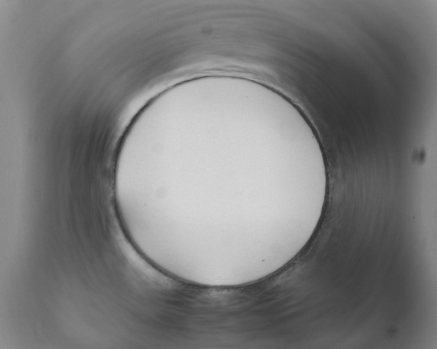 X0000111251531200907231541