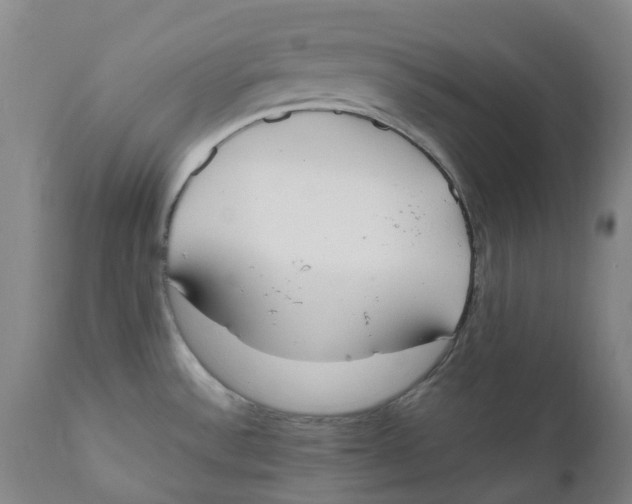 X0000111251532200907231541