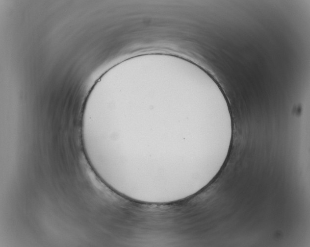 X0000111251534200907231541