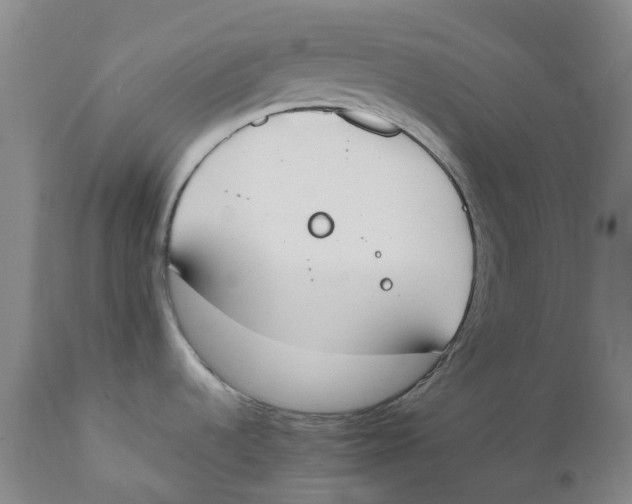 X0000111251536200907231541