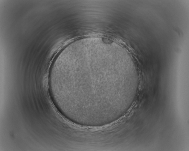 X0000111250002200907301336