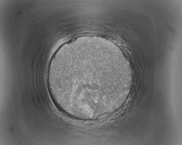 X0000111250003200907301336