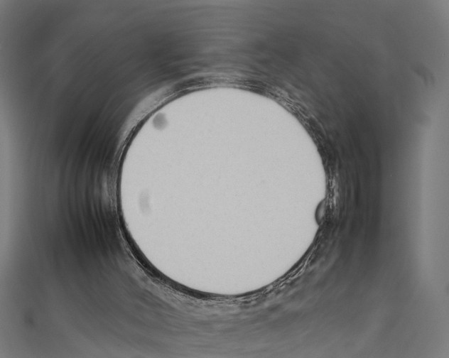 X0000111250004200907301336