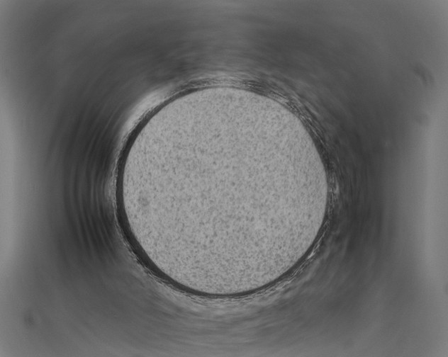 X0000111250006200907301336