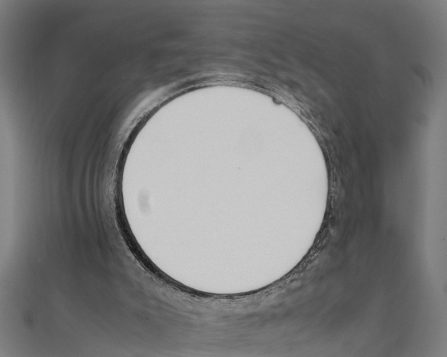 X0000111250007200907301336