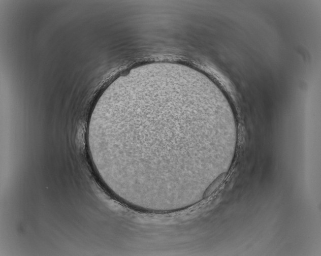 X0000111250009200907301336