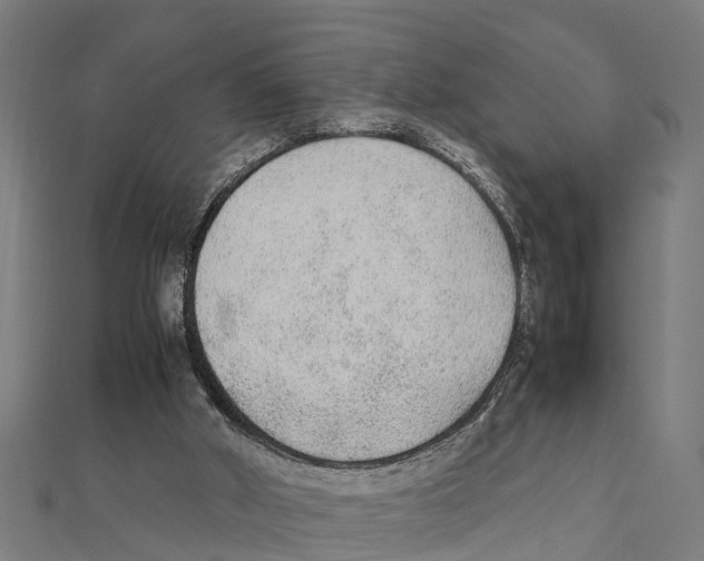 X0000111250010200907301336