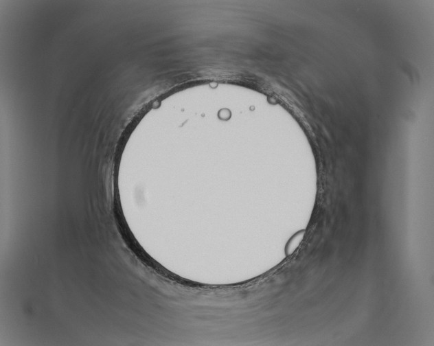 X0000111250011200907301336