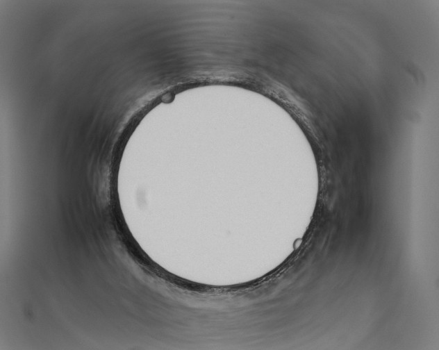 X0000111250012200907301336