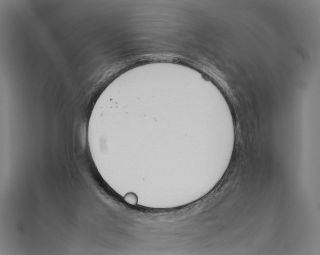 X0000111250013200907301336