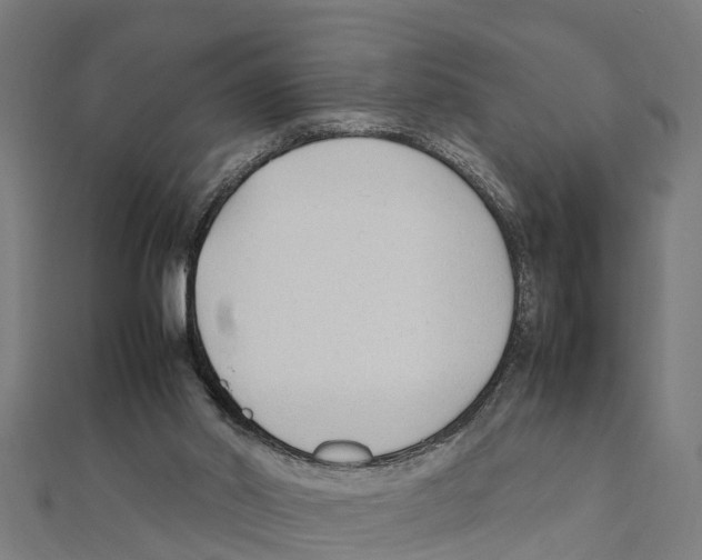 X0000111250014200907301336