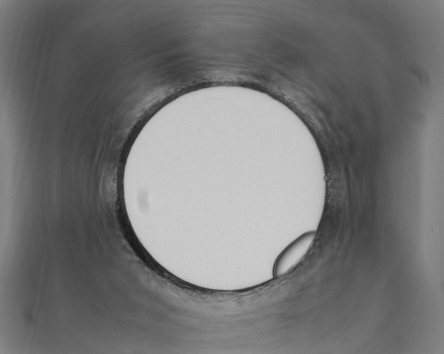 X0000111250015200907301336