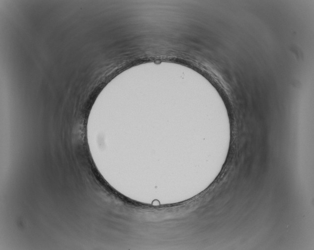 X0000111250017200907301336