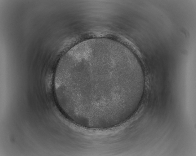 X0000111250018200907301336