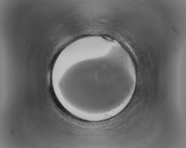 X0000111250019200907301336