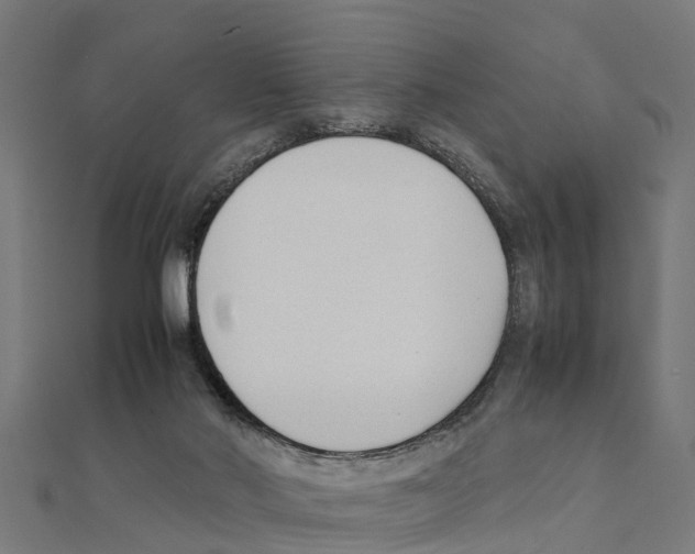 X0000111250022200907301336