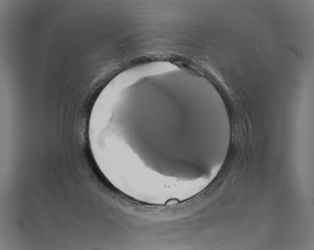 X0000111250023200907301336