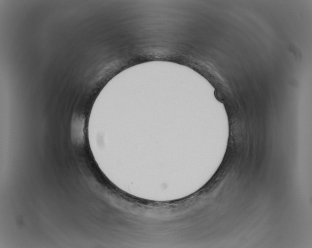 X0000111250024200907301336