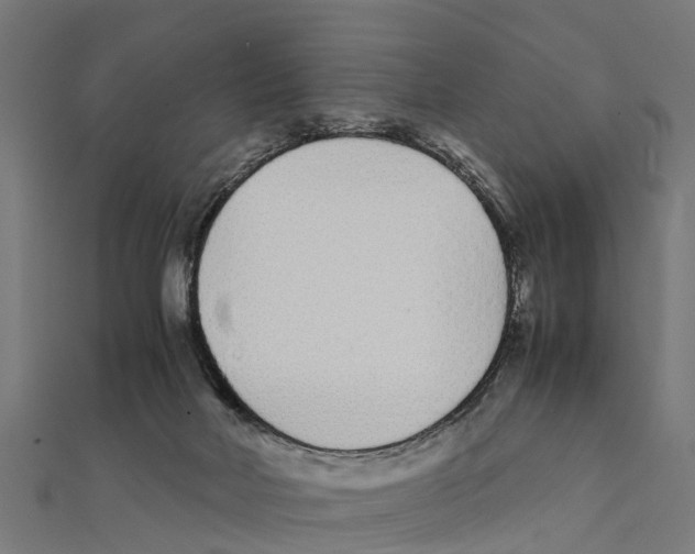 X0000111250026200907301336