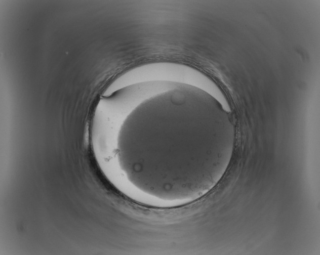 X0000111250027200907301336