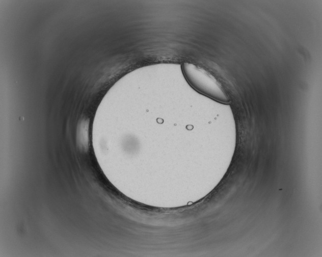 X0000111250028200907301336