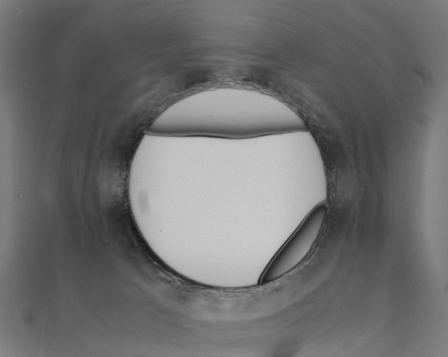 X0000111250033200907301336