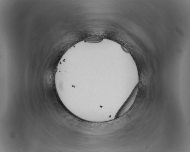 X0000111250037200907301336