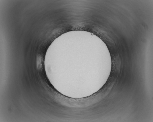 X0000111250038200907301336