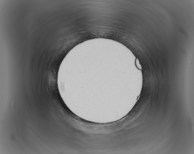 X0000111250040200907301336