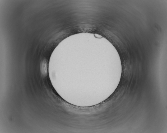 X0000111250042200907301336