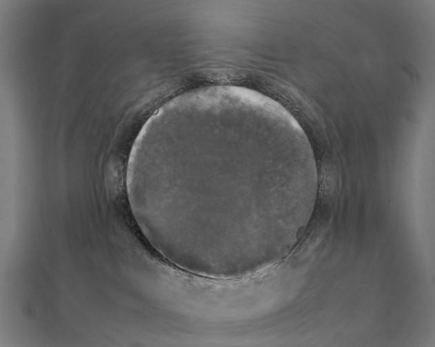 X0000111250043200907301336