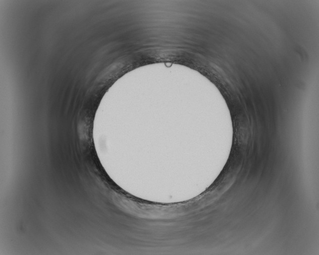 X0000111250044200907301336