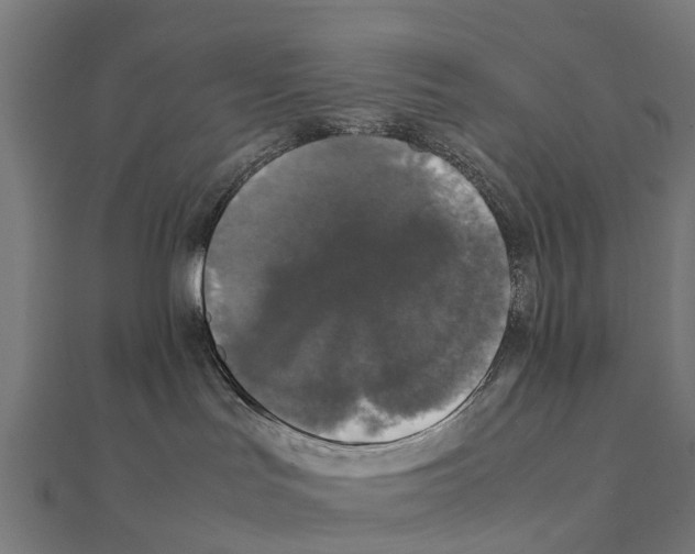 X0000111250047200907301336