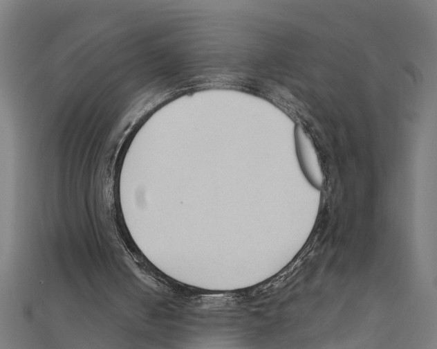 X0000111250050200907301335