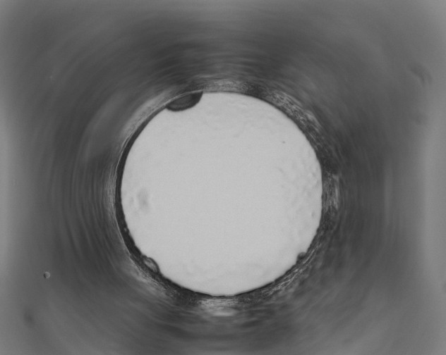 X0000111250051200907301335