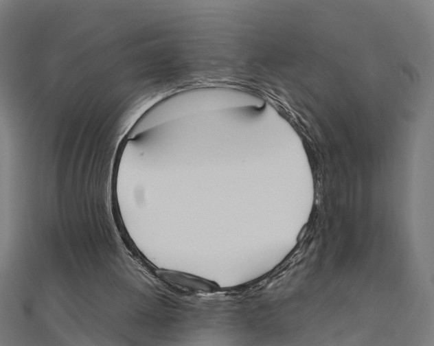 X0000111250052200907301335