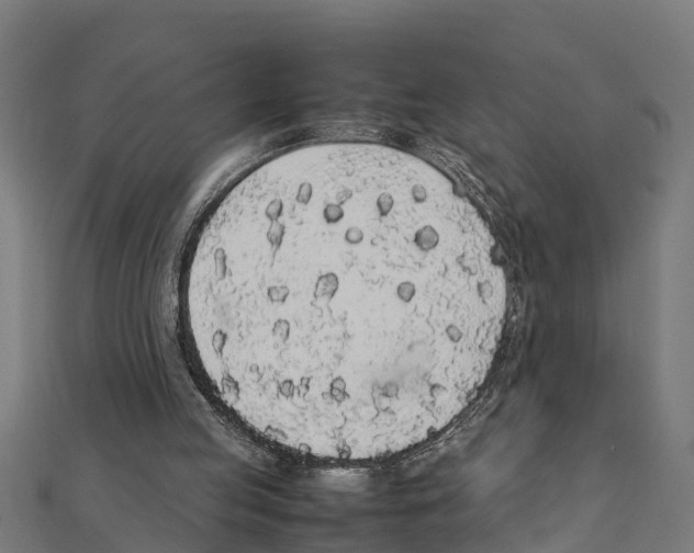 X0000111250053200907301335