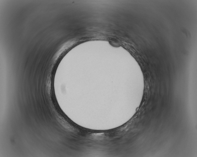 X0000111250054200907301335